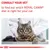Consult your vet to find out which Royal Canin diet is right for your cat. Image shows a cat on an examination table with a veterinarian.
