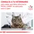 CONSULTA A TU VETERINARIO para saber qué dieta veterinaria ROYAL CANIN es adecuada para tu gato. Logotipo Veterinary Nutrition. Imagen de un gato en consulta veterinaria.
