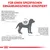 Texte en allemand : Für einen spezifischen Ernährungszweck konzipiert. Explications sur les sensibilités cutanées et digestives chez le chien, besoins des jeunes chiens, schéma silhouette canine.