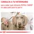 CONSULTA A TU VETERINARIO para saber qué alimento ROYAL CANIN es adecuado para tu perro. CONSULTA A TU VETERINARIO para saber qué alimento ROYAL CANIN es adecuado para tu perro.