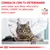 CONSULTA CON TU VETERINARIO para saber qué dieta veterinaria ROYAL CANIN® es adecuada para tu gato. VETERINARY NUTRITION. Imagen de un gato en una consulta veterinaria.