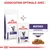 ROYAL CANIN EXPERT ADULT croquettes et ROYAL CANIN EXPERT NEUTERED MAINTENANCE émincé en sauce pour chat, association optimale recommandée visible sur l’image.