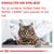Royal Canin Expert Feline Adult
