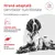 Royal Canin Veterinary Canine Glycobalance