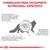 Formulado para um suporte nutricional específico. Função digestiva sensível, necessidade de mais fibra e alterações do trânsito intestinal em gatos destacadas com ilustração.