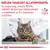 KÉRJEN TANÁCSOT ÁLLATORVOSÁTÓL és tudja meg, melyik ROYAL CANIN állatorvosi diétás eledel a megfelelő az Ön macskája számára. VETERINARY NUTRITION