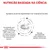 NUTRIÇÃO BASEADA NA CIÊNCIA. Ingredientes de elevada digestibilidade e teor adaptado de eletrólitos. Enriquecido com ácidos gordos ómega-3, EPA+DHA, vitamina E, C e taurina. Elevada palatabilidade.
