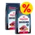 To sække Rocco Mealtime Complete Dog Food Beef 12 kg med synligt tilbudssymbol, teksten 'Grain Free Recipe', '7% Animal Ingredients', 'Rich in Fresh Beef', 'Full Taste' på emballagen. To sække Rocco Mealtime Complete Dog Food Beef 12 kg med synligt tilbudssymbol, teksten 'Grain Free Recipe', '7% Animal Ingredients', 'Rich in Fresh Beef', 'Full Taste' på emballagen.