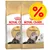 Kaksi Royal Canin Persian Adult -kuivaruokapussia kissoille, pakkauksessa persialaiskissan kuva ja suuri keltainen prosenttimerkki tarjouksen merkkinä. Kaksi Royal Canin Persian Adult -kuivaruokapussia kissoille, pakkauksessa persialaiskissan kuva ja suuri keltainen prosenttimerkki tarjouksen merkkinä.