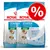 Royal Starter Mother & Babydog Mini 1–2 months, felnőtt súly max. 10 kg, két csomag, akciós jelzés százalékjellel a jobb felső sarokban