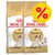 Kaksi Royal Canin Adult Siamese -kuivaruokapussia kissoille, suuri keltainen prosenttimerkki oikeassa yläkulmassa Kaksi Royal Canin Adult Siamese -kuivaruokapussia kissoille, suuri keltainen prosenttimerkki oikeassa yläkulmassa