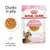 Royal Canin FHN Sterilised Kitten w galarecie - 12 x 85 g Royal Canin FHN Sterilised Kitten w galarecie - 12 x 85 g