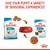 Image showing dry and wet puppy food for 2-10 months, X-Small size, with arrows indicating both types can be served in a bowl to provide varied sensorial experiences.