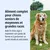 Aliment complet pour chiens âgés de races moyennes et grandes. Favorise le maintien du poids ainsi que la santé des reins et des articulations. Aliment complet pour chiens âgés de races moyennes et grandes. Favorise le maintien du poids ainsi que la santé des reins et des articulations.