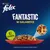Purina Felix Fantastic w galaretce, bez barwników. Na zdjęciu miska z kawałkami karmy dla kotów. Pokazano tu Felix Fantastic Mięsne smaki.