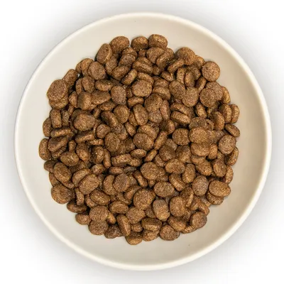 Bowl filled with round, brown dry pet food kibble pieces shown from above.