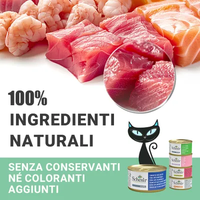 100% ingredienti naturali. Senza conservanti né coloranti aggiunti. Schesir. Immagine di pesce crudo, gamberi e lattine di cibo per gatti Schesir.