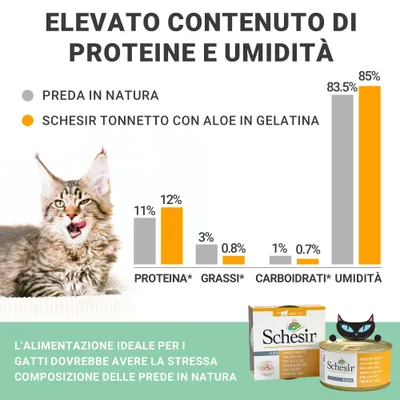 Schesir in Gelatina 24 x 85 g