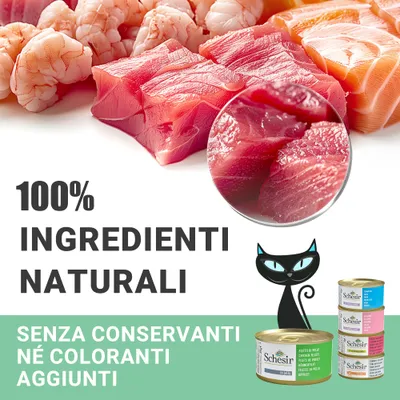 100% ingredienti naturali. Senza conservanti né coloranti aggiunti. Schesir. Filetti di pollo. Immagine di pesce crudo, gamberi e lattine di cibo per gatti.