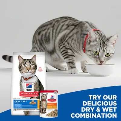 Hill's Science Plan Oral Care Adult 1+ Chicken