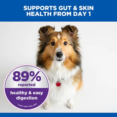 Hill's Science Plan Sensitive Stomach & Skin Adult 1 + Medium with Chicken