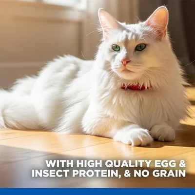 Hill's Science Plan Hypoallergenic Adult No Grain with Egg & Insect Protein