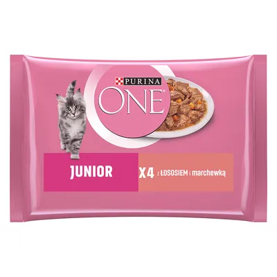 Purina ONE Junior x4 z łososiem i marchewką, opakowanie karmy dla kotów, widoczny talerz z kawałkami jedzenia oraz zdjęcie kota.