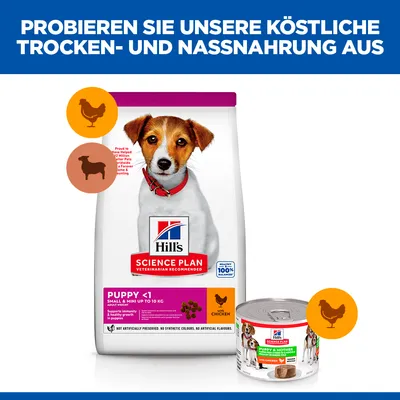 Hill's Science Plan Puppy <1 Small & Mini bis 10kg, Trocken- und Nassnahrung mit Huhn. Keine künstlichen Farb- oder Aromastoffe. Für gesunde Entwicklung empfohlen.