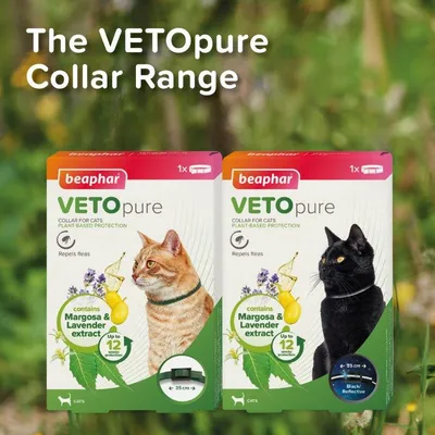 VETOpure collar range for cats, repels fleas, contains margosa and lavender extract, up to 12 weeks protection, available in sizes up to 35 cm, black/reflective option shown.