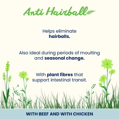 Almo Nature Functional Anti Hairball