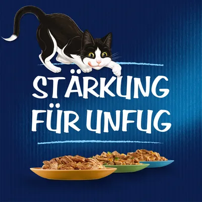 Illustration einer Katze mit Text 'Stärkung für Unfug' und drei Schalen mit Katzenfutter in verschiedenen Farben.