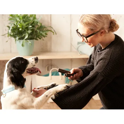 Person holding a treat stick while a dog places its paws on their arm, demonstrating use of the treat as a reward during training.