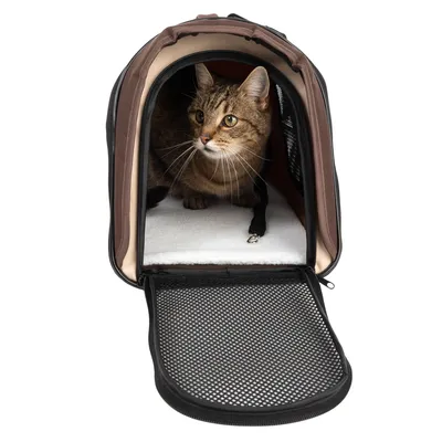 Chat assis dans une caisse de transport souple marron avec porte en maille noire ouverte et coussin blanc à l’intérieur, laisse courte visible fixée au fond.