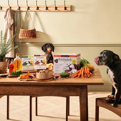 Forthglade food boxes displayed on a table with fresh vegetables, oils and treats, two dogs present near the products.