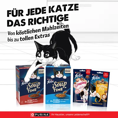Felix Soup Time Original 6 x 48 g - Gemischte Vielfalt