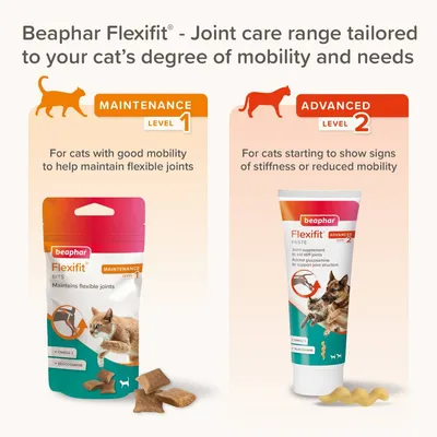 Beaphar Flexifit joint care range: Level 1 for cats with good mobility to maintain flexible joints, Level 2 for cats showing stiffness or reduced mobility. Two product types shown.