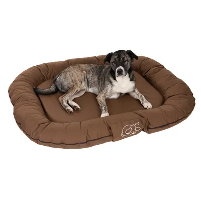 Braunes Hundebett mit gepolstertem Rand und liegendem Hund. Logo mit schlafendem Hund auf der Vorderseite sichtbar.