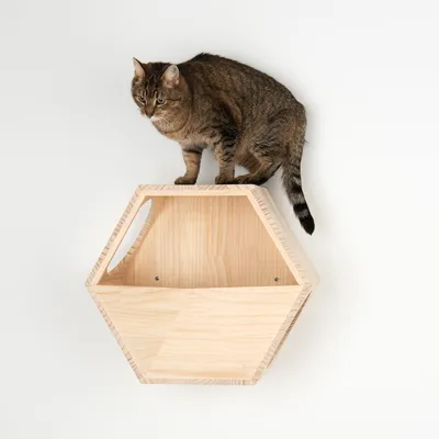 Braun-grau getigerte Katze sitzt auf einem sechseckigen Wandregal aus hellem Holz mit sichtbaren Schrauben an der Rückwand.
