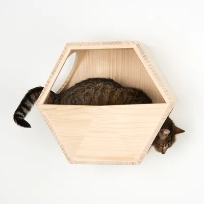 Cueva hexagonal para gatos de madera clara, con un gato parcialmente dentro y asomando la cabeza.