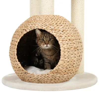 Katzenhöhle aus geflochtenem Naturmaterial mit weicher Polsterung, Teil eines Kratzbaums. Katze sitzt in der Höhle.