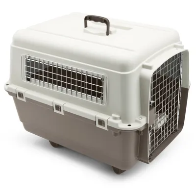 Trasportino per animali in plastica rigida con griglie metalliche laterali e frontali, maniglia superiore e chiusure di sicurezza visibili.