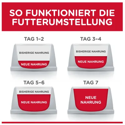 Диаграмма перехода на новый корм: дни 1-2 и 3-4 смесь старого и нового корма, дни 5-6 преимущественно новый корм, день 7 только новый корм.
