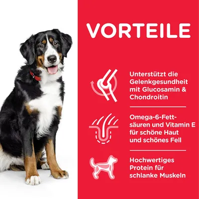 VORTEILE: Unterstützt die Gelenkgesundheit mit Glucosamin & Chondroitin. Omega-6-Fettsäuren und Vitamin E für schöne Haut und Fell. Hochwertiges Protein für schlanke Muskeln.
