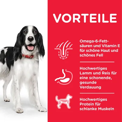 Texte en allemand : Omega-6-Fettsäuren und Vitamin E für schöne Haut und schönes Fell, Hochwertiges Lamm und Reis für eine schonende, gesunde Verdauung, Hochwertiges Protein für schlanke Muskeln.