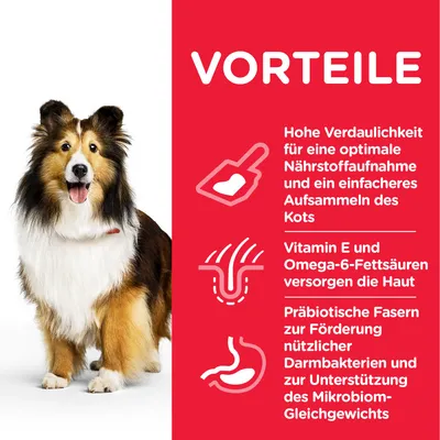 VORTEILE: Hohe Verdaulichkeit für optimale Nährstoffaufnahme, Vitamin E und Omega-6-Fettsäuren für Hautpflege, präbiotische Fasern zur Unterstützung des Mikrobiom-Gleichgewichts.