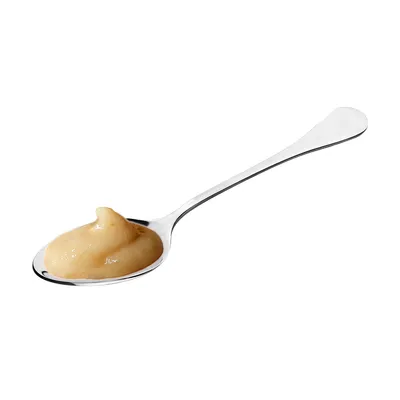 Silver spoon with a portion of beige-coloured paste, possibly pet food or snack.