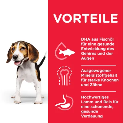 VORTEILE: DHA aus Fischöl für gesunde Entwicklung von Gehirn und Augen, ausgewogener Mineralstoffgehalt für starke Knochen und Zähne, hochwertiges Lamm und Reis für gesunde Verdauung.