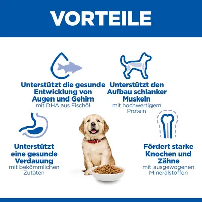 Hill's Science Plan Puppy <1 Large mit Huhn