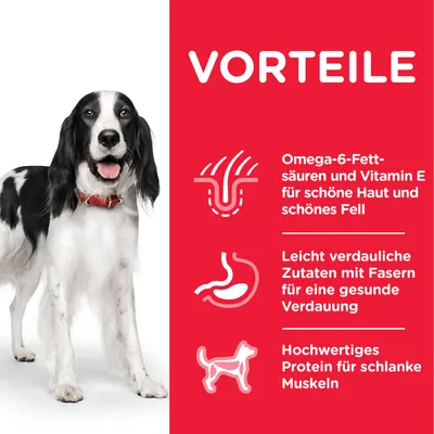 Vorteile: Omega-6-Fettsäuren und Vitamin E für Haut und Fell, leicht verdauliche Zutaten mit Fasern für Verdauung, hochwertiges Protein für schlanke Muskeln.
