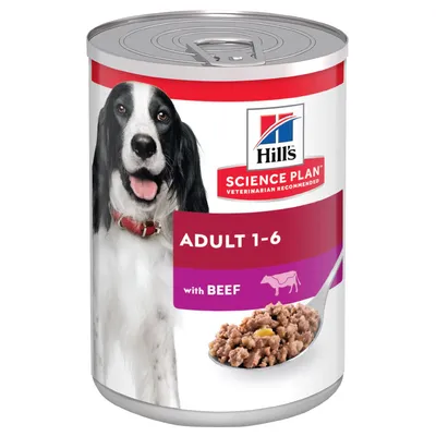 Boîte Hill's Science Plan Adult 1-6 with Beef, image d'un chien noir et blanc, croquettes en gros plan, texte visible : VETERINARIAN RECOMMENDED.